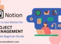 How to Use Notion for Project Management