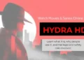 Silhouetted person in a trench coat and wide-brim hat facing left against a red and white cityscape background. The text reads “HYDRA HD” with a tagline about watching movies and series online. A box below explains that the platform has legal and safety risks.