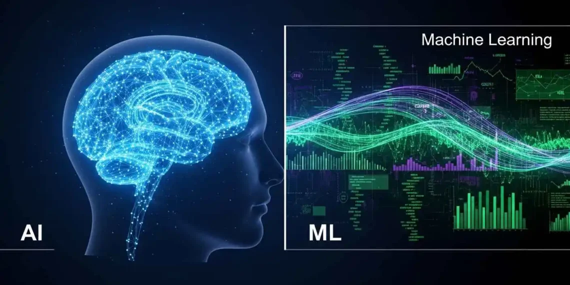 What is the Difference Between AI and Machine Learning?